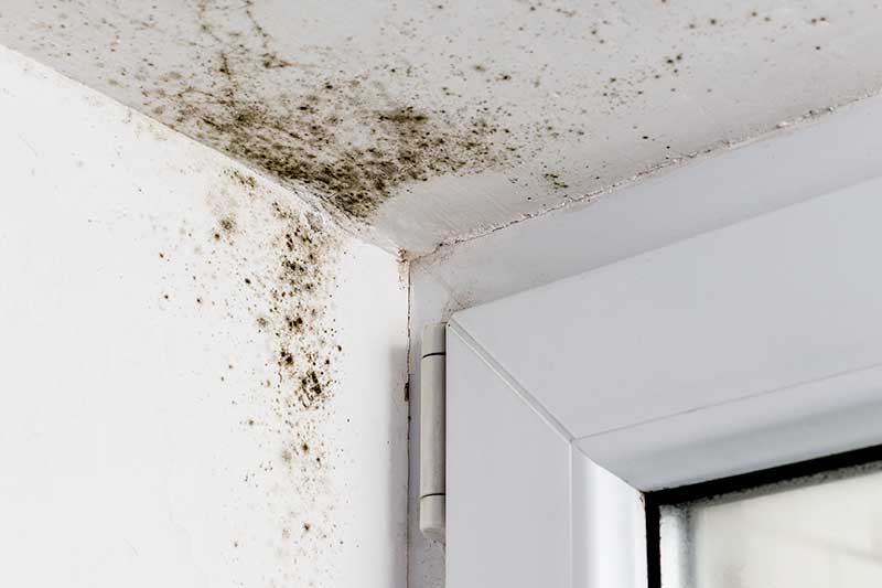 Mould on an internal wall due to condensation in a window recess