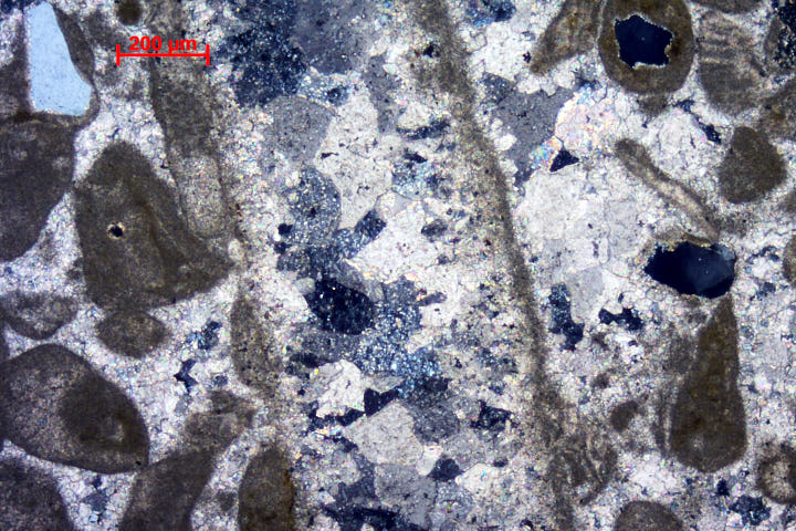 Building stone thin section viewed under a microscope